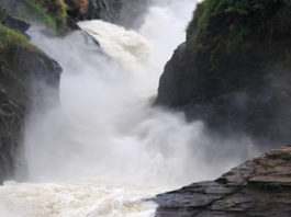 Murchison falls