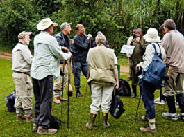 Uganda gorilla tours