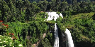 Sipi Falls